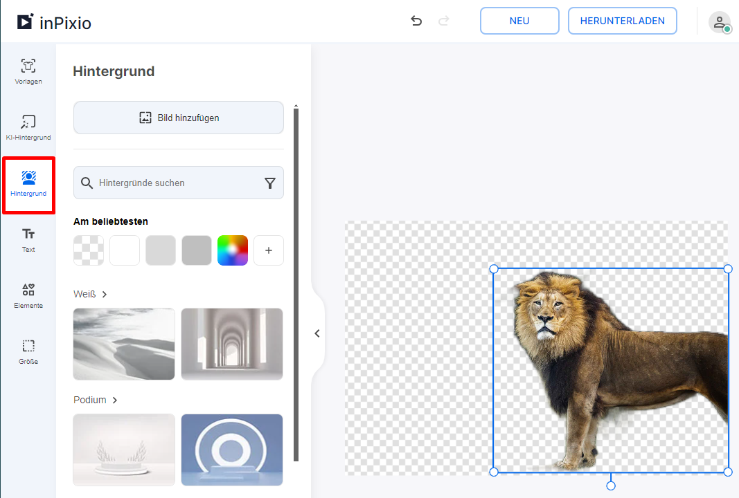 Wie ersetze ich den Hintergrund in inPixio Online Photo Editor? – inPixio