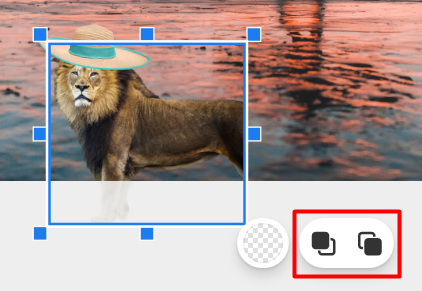 mceclip15.png