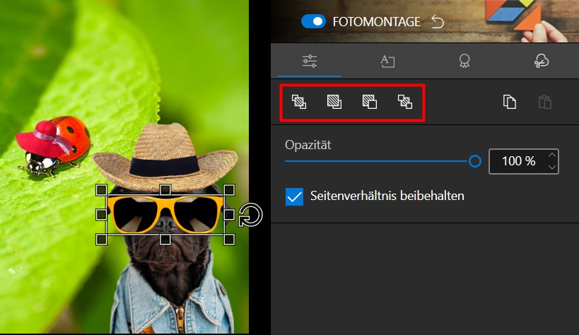 Screenshot_27.jpg