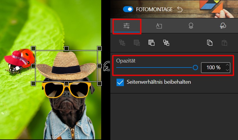 Screenshot_28.jpg