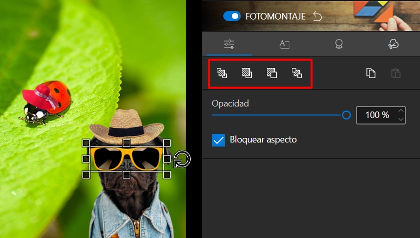Screenshot_26.jpg