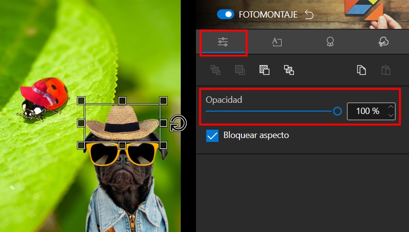 Screenshot_27.jpg