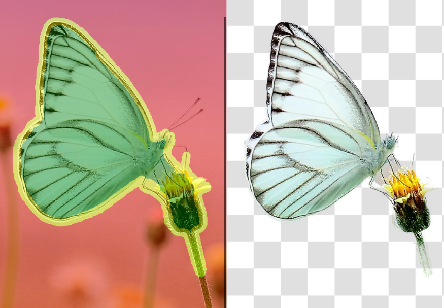 mceclip2.png