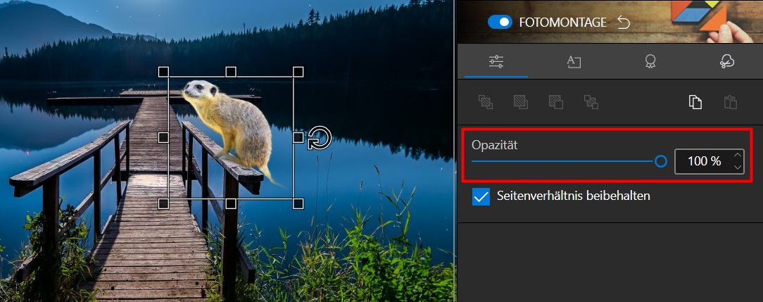 Screenshot_16.jpg
