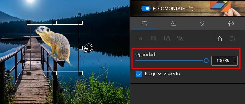 Screenshot_16.jpg